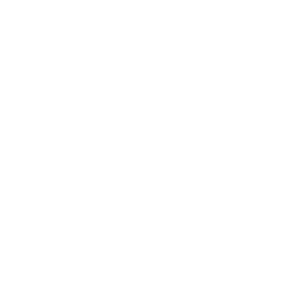 Wordpress Hosting Profesional - Dominio y SSL Gratis 360 group