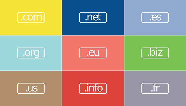 Registro Dominio Servicios Dns